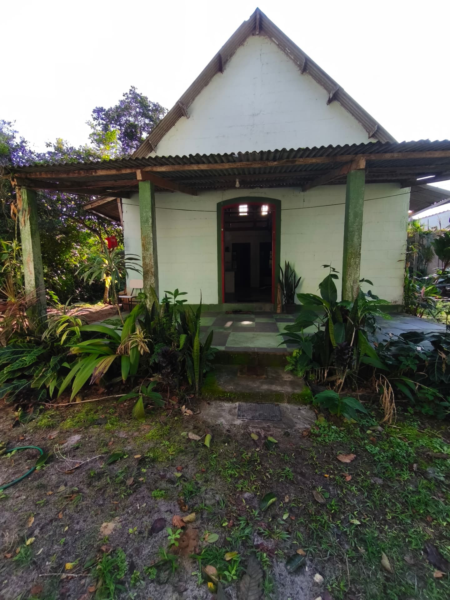 Frente da casa de hospedagem cercada por jardim tropical