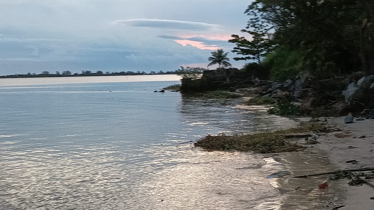 Entardecer à beira do rio, com céu rosado e mata na margem